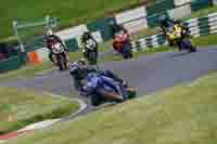 cadwell-no-limits-trackday;cadwell-park;cadwell-park-photographs;cadwell-trackday-photographs;enduro-digital-images;event-digital-images;eventdigitalimages;no-limits-trackdays;peter-wileman-photography;racing-digital-images;trackday-digital-images;trackday-photos